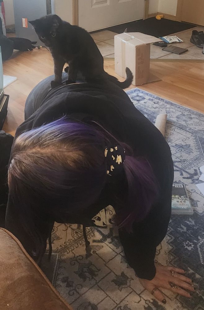 Toothless the cat decides to owtch herself on my wife's backside while she was on all fours looking for something under the couch. 