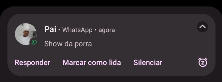 Print de notificação do whatsapp com mensagem do meu pai dizendo "show da porra"