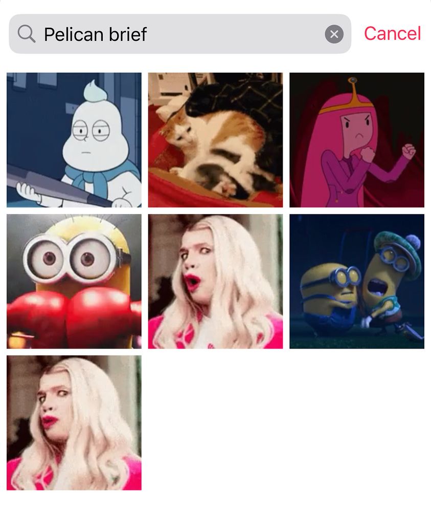 Internet search for the Pelican Brief that ends up in wrong answers including characters from Adventure Time and the movie White Chicks.