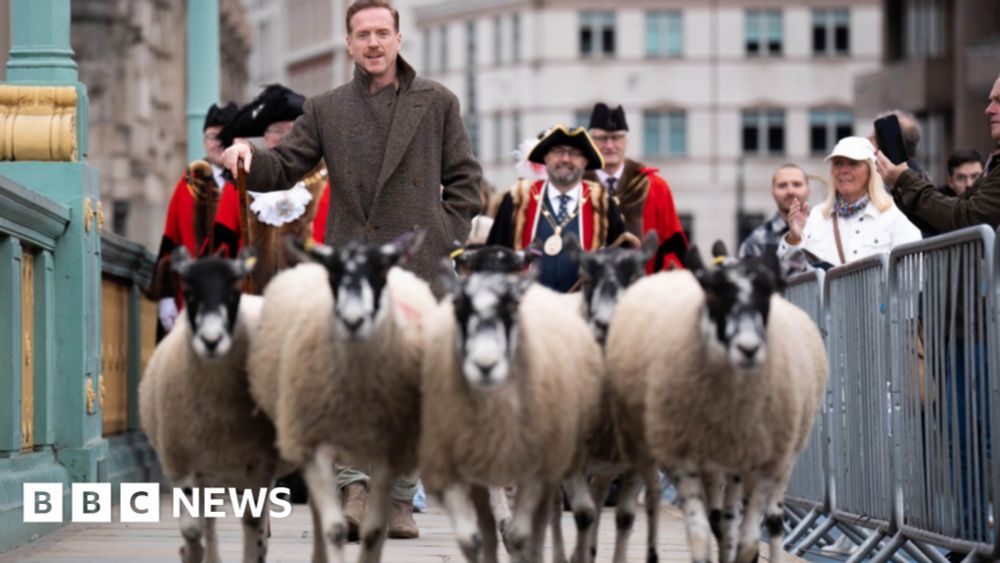 Damian Lewis shepherds sheep over London bridge