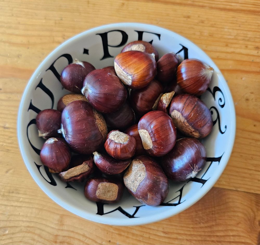 A china bowl full of shiny brown sweet chestnuts 