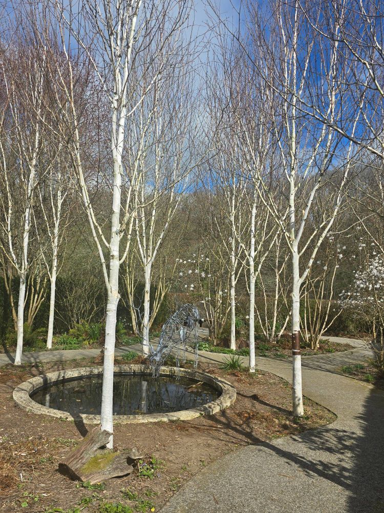 Buckfast Abbey gardens