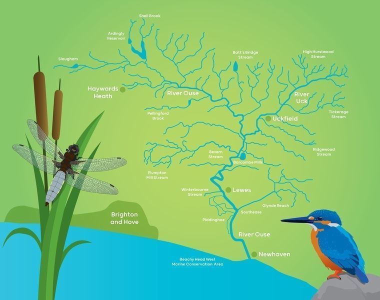 map showing the Ouse river catchment and all its tributaries with kingfisher and dragonfly illustrations