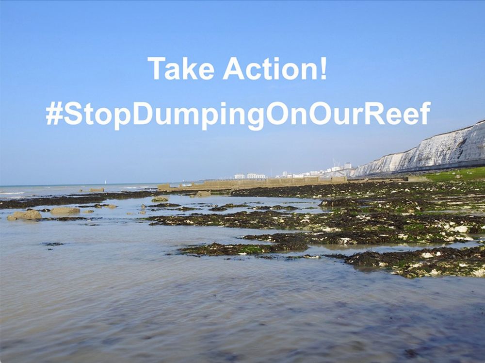 Stop dumping on our reef