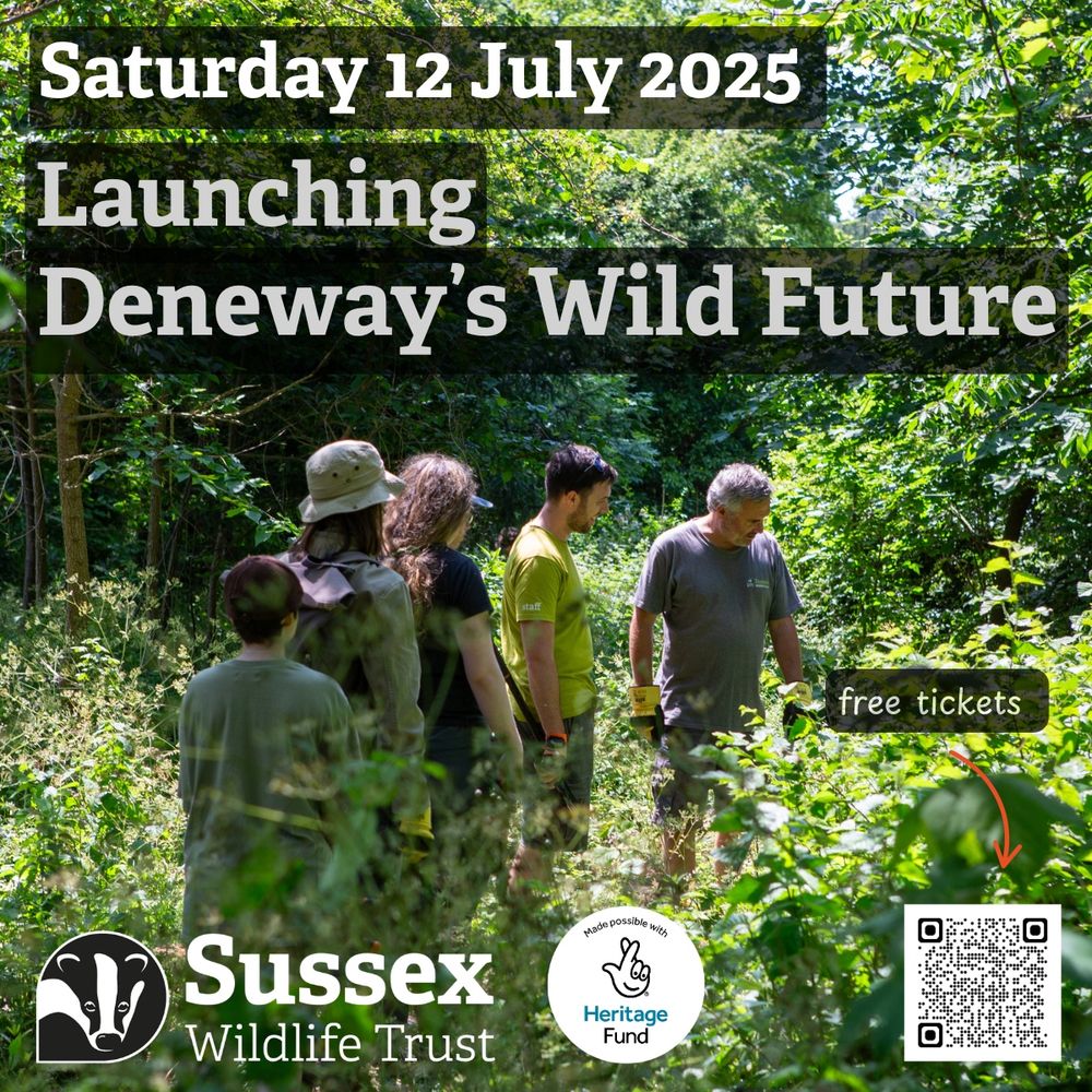 Image of five people among sunlight wooded area. Text: Saturday 12 July 2025 Launching Deneway's Wild Future | Sussex Wildlife Trust | National Lottery Heritage Fund