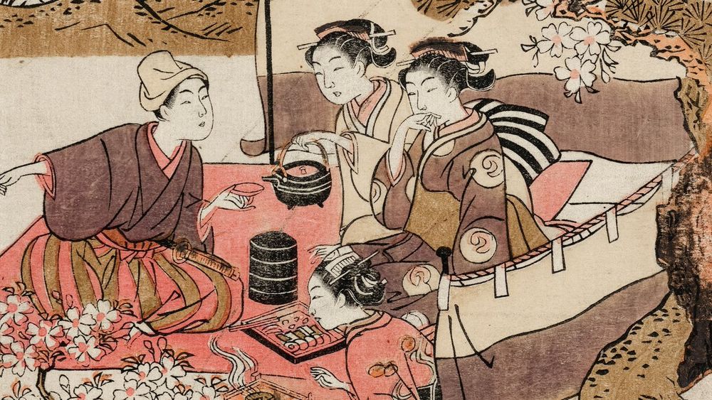 Double licence Études japonaises / Histoire, Université Paris Cité