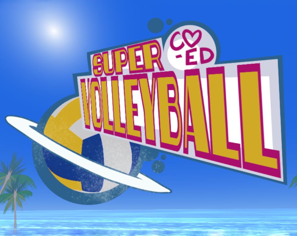 Super Co-Ed Volleyball by Aleph