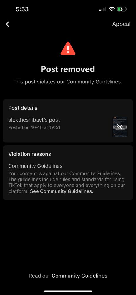 Screenshot of TikTok saying that a post Alex made was taken down for breaking some kind of community guidelines