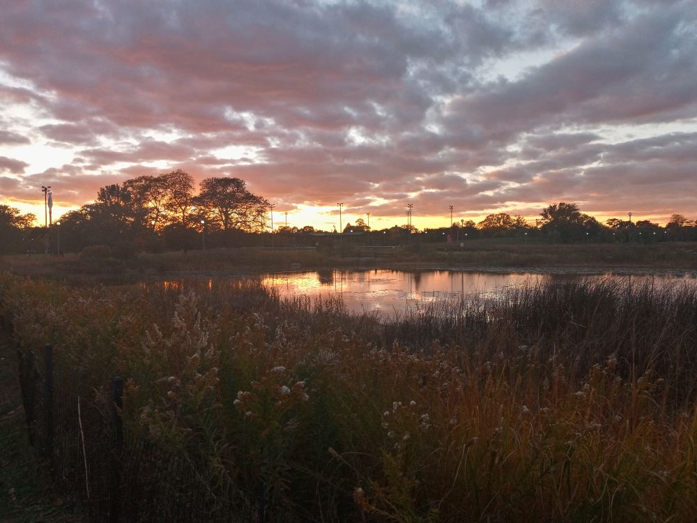 Tonight's sunset over Humboldt Park