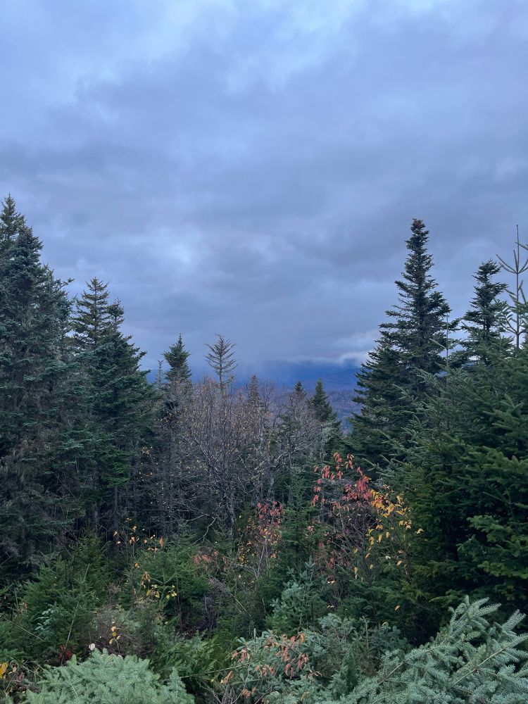 Close to the the top of Double Back Mt. NH