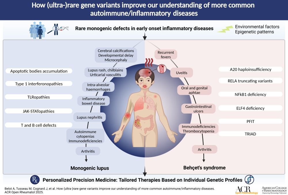 How (Ultra-)Rare Gene Variants Improve Our Understanding of More Common Autoimmune and Inflammatory Diseases. Graphical abstract created with BioRender