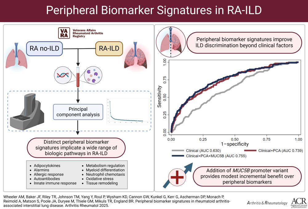 Peripheral Biomarker Signatures in Rheumatoid Arthritis-Associated Interstitial Lung Disease. Graphical abstract created with BioRender