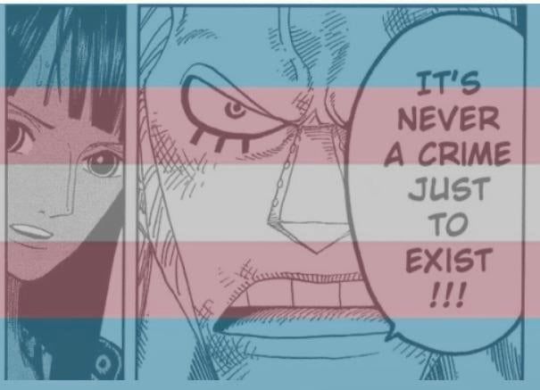 One Piece panel of Franky espousing that "It's never a crime just to exist!!!" with a panel of Nico's face next to it looking caught off guard yet thoughtfully. The image also has a trans flag imposed over it.