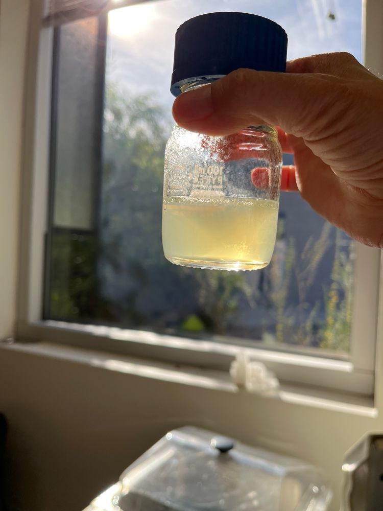Cloudy top agar