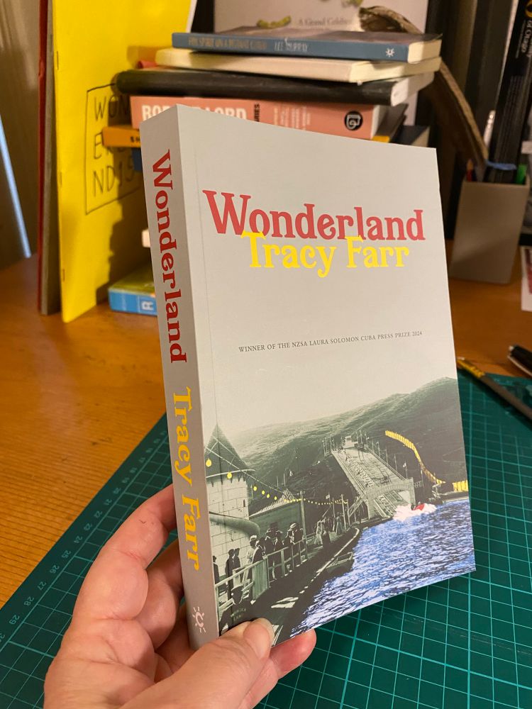 A book, Wonderland, angled so you can see the front cover and spine. It’s being held in front of a pile of other books. The image on the front cover is of an old-fashioned amusement park, highlighted with overlaid colour pops in read and yellow and blue.