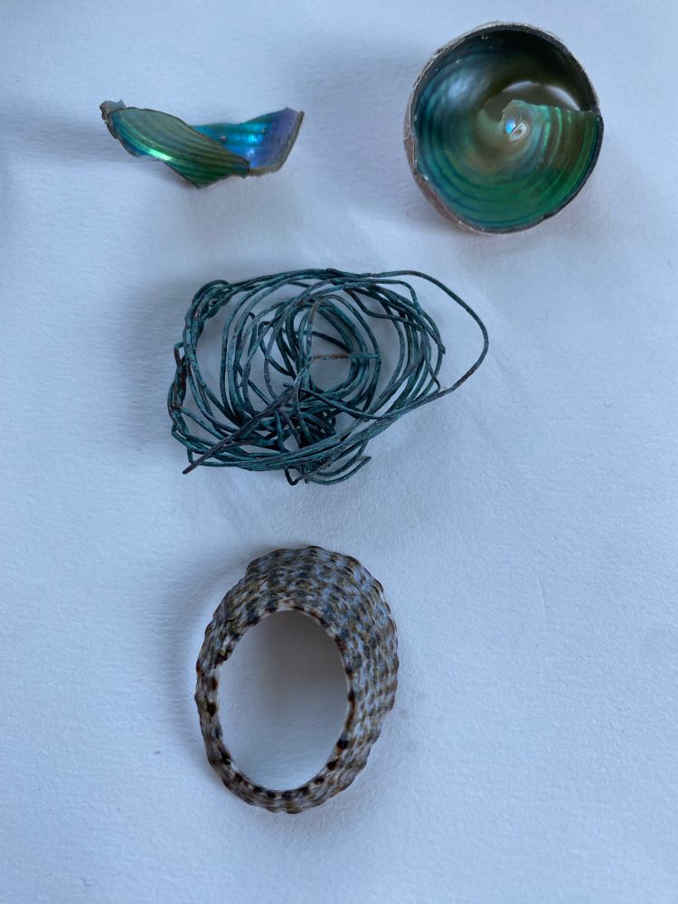 Four beachcast objects arranged on a white background mimic a terrified face. Two fragments of shell are the eyes, a coil of copper wire the nose, an O of a limpet (missing its middle) the mouth.