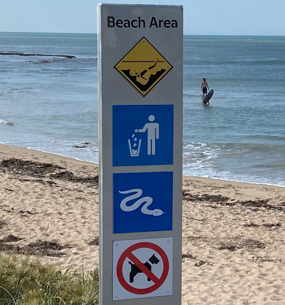 Close up of sign:
Beach Area
Pictogram: put rubbish in bin 
Pictogram: snake
Pictogram: no dogs