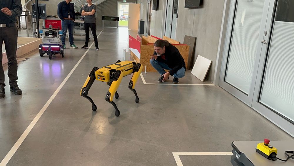 A person sitting and looking closely at a robot dog
