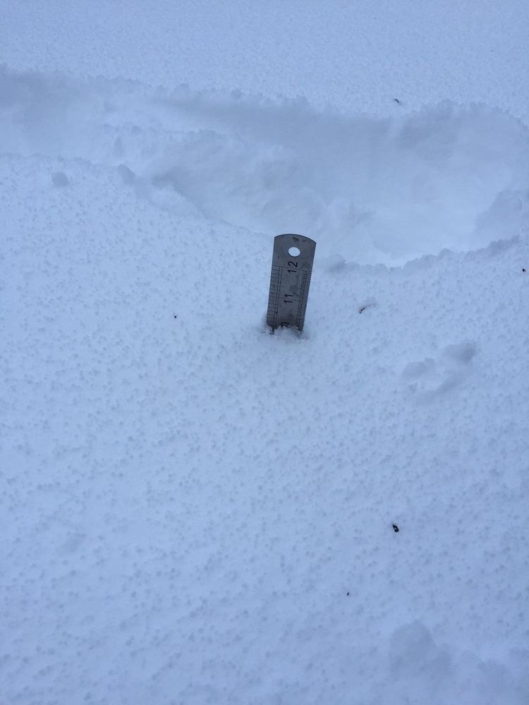 A metal rule projecting out of snow showing that 10 inches of snow have accumulated.