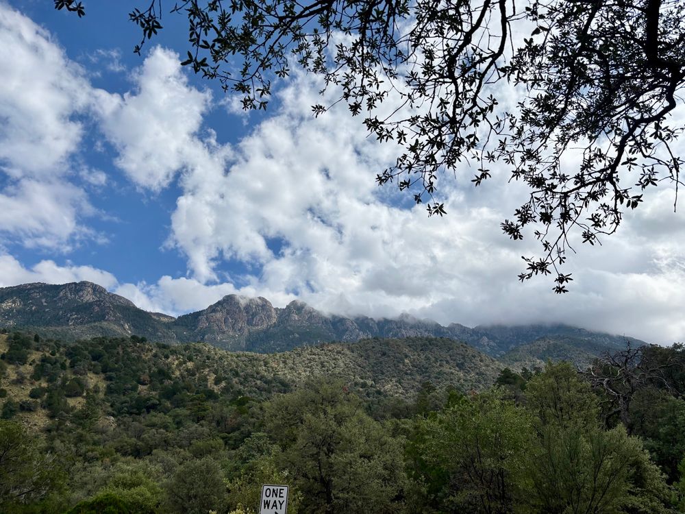 Looking to the east in Madera Canyon,
AZ. Partly cloudy skies with green oak and juniper trees.