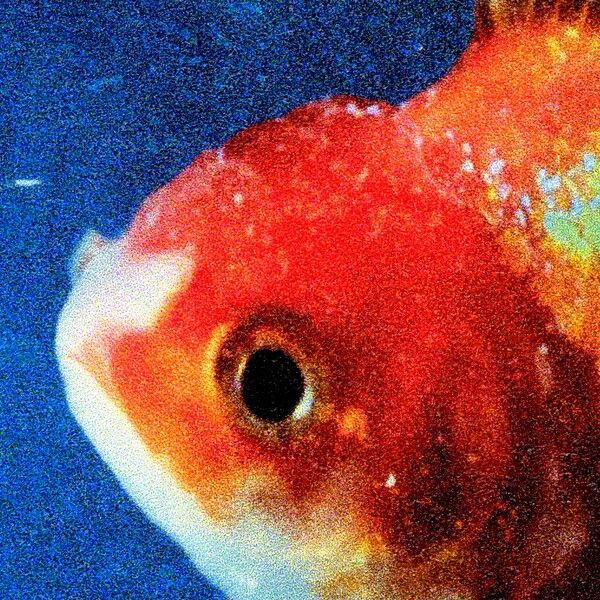 Vince Staples - Big Fish Theory album cover