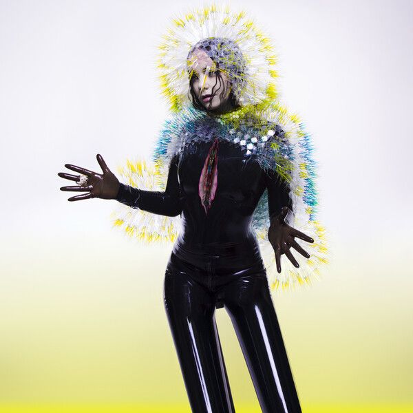 Björk - Vulnicura album cover art