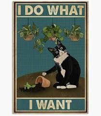 Tapestry style image of a black & white cat  with it's left paw extended knocking over a plant pot. Soil & plant are spilled out. Cat stares deliberately with no remorse
