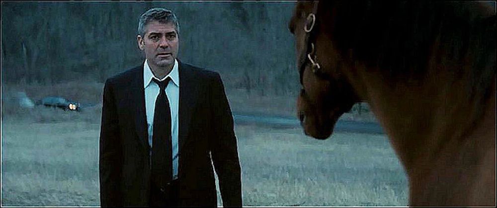 Michael Clayton looking at the horses
