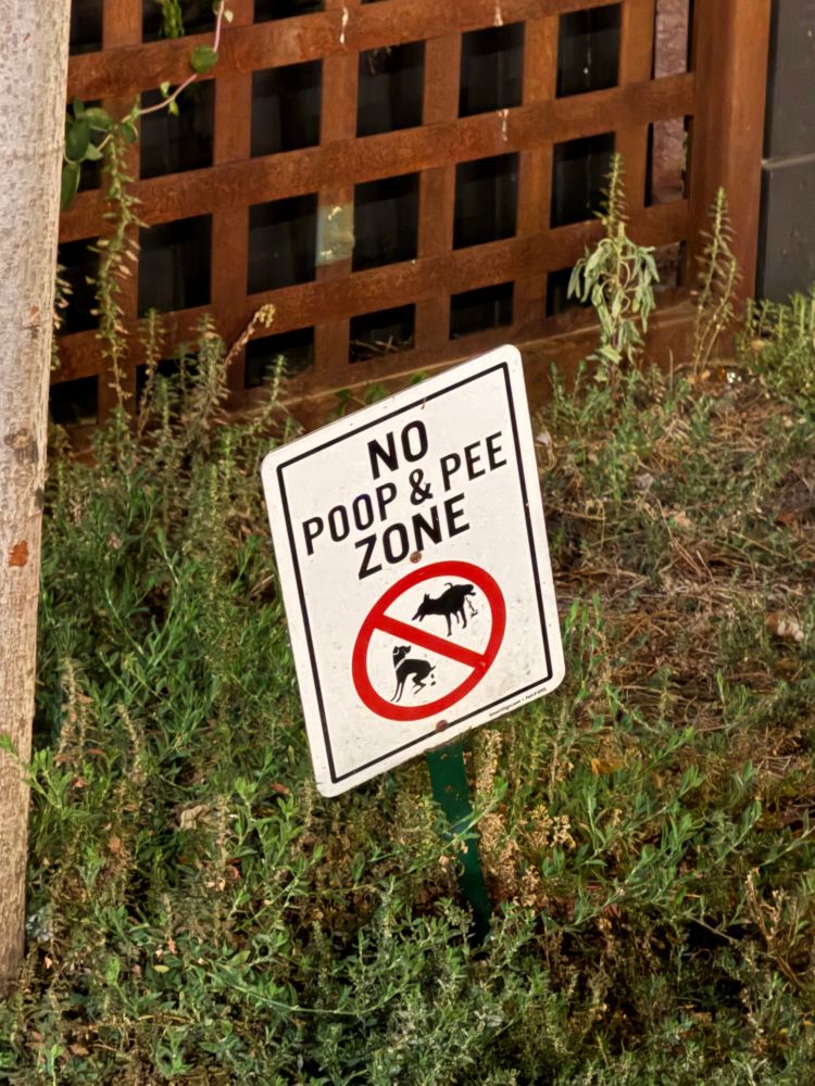 Sign in some grass reading “NO POOP & PEE ZONE” with the red circle slash of dogs doing those things