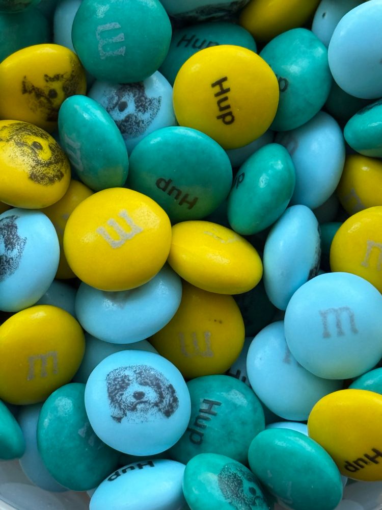 Closeup of a bunch of custom yellow, green and teal M&M’s that have either the M, the word “Hup”, or an image of Liza on them