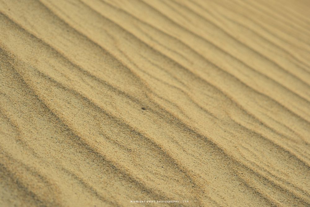 A close up photo of grains of sand at Horseneck Beach, in Westport, Massachusetts. 