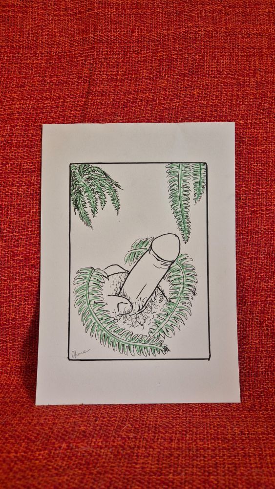 Foto de um desenho num papel off-white, num fundo de tecido vermelho. O desenho mostra um pau duro desenhado de caneta preta rodeado por folhas de samambaia.