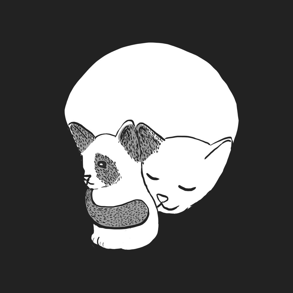 It’s a drawing of a two cats but they way  they are arranged, it also kind of looks like a skull 