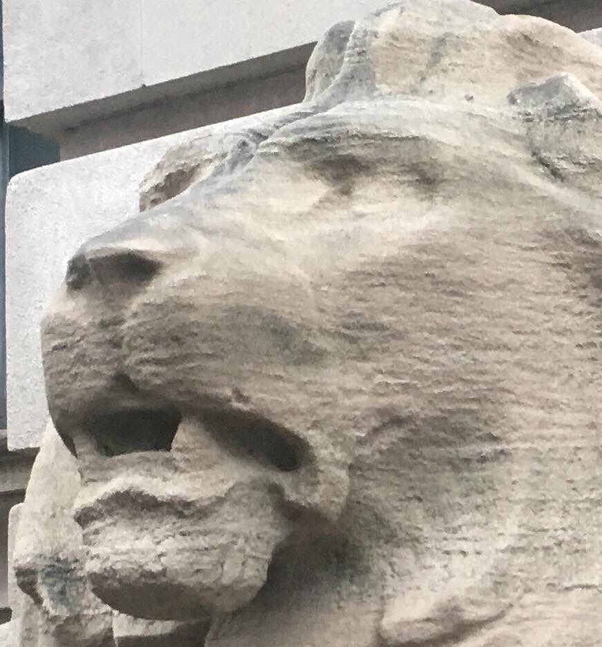 close up of the lion statue’s face, Lion looking a bit distressed 