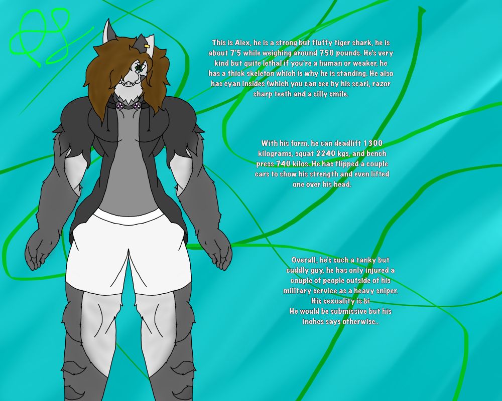 Reference of my sona (not entirely accurate) and some details of stuffs, basically a tiger shark guy that’s a silly billy
