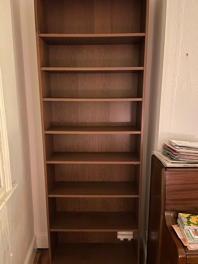 An empty bookcase