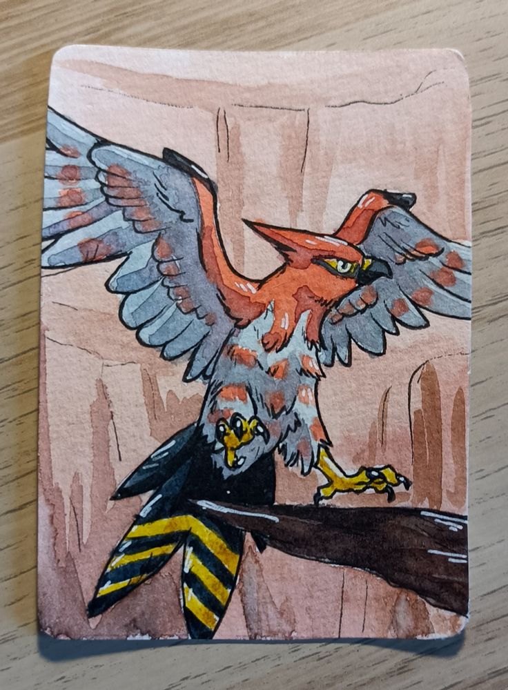 Watercolor drawing of the pokemon Talonflame about to land