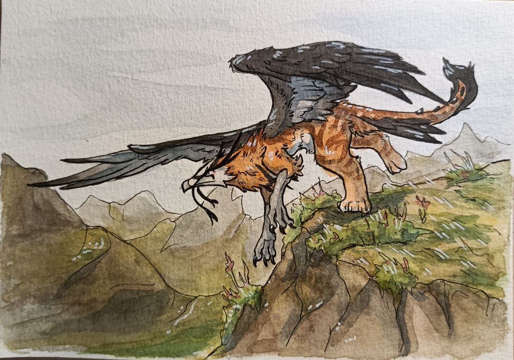 Watercolor drawing of a bearded vulture - tiger griffon, running on top of a mountain and about to fly