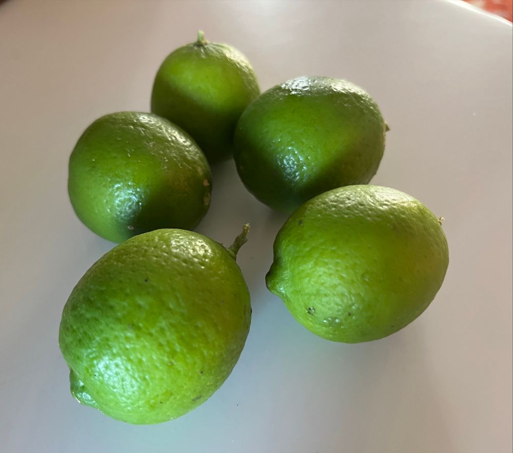 Mexican limes from my backyard 🍋‍🟩 