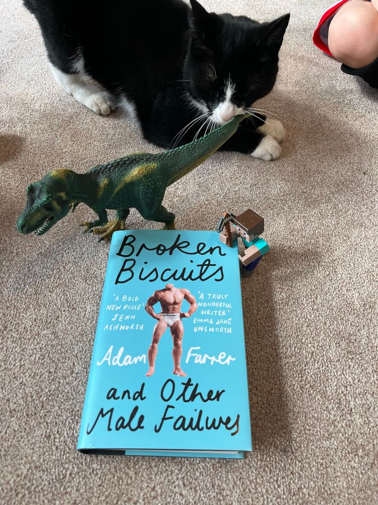 A copy of Broken Biscuits and Other Male Failures by Adam Farrer with a Minecraft figure, a toy dinosaur and a black and white cat 