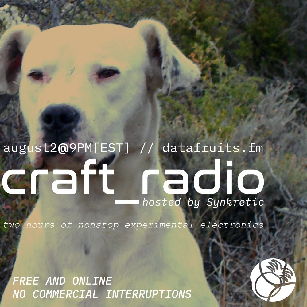 craft_radio w/ host Synkretic
august 2nd
9-11 PM EST
www.datafruits.fm