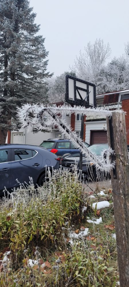 Photo of prickly hoar frost covering an iron hook in a garden
