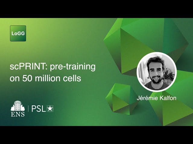scPRINT: pre-training on 50 million cells allows robust gene network predictions | Jérémie Kalfon