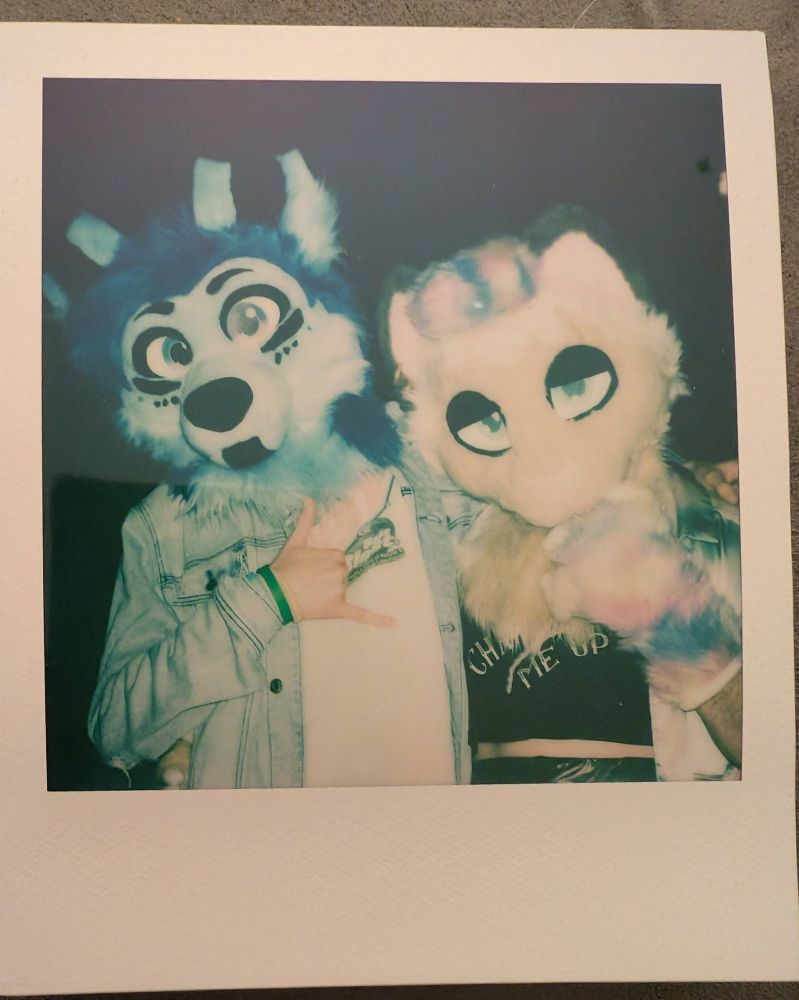 photo of Ceru in fursuit with wide open eyes, and me in furuit with half-lidded eyes, referencing the prior image.