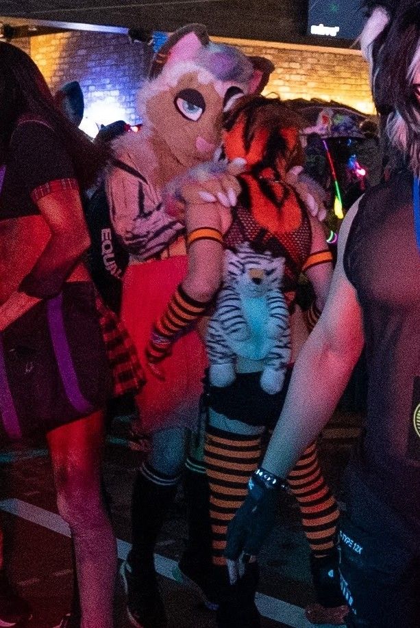 me in fursuit dancing with Spottacus in tiger mask
