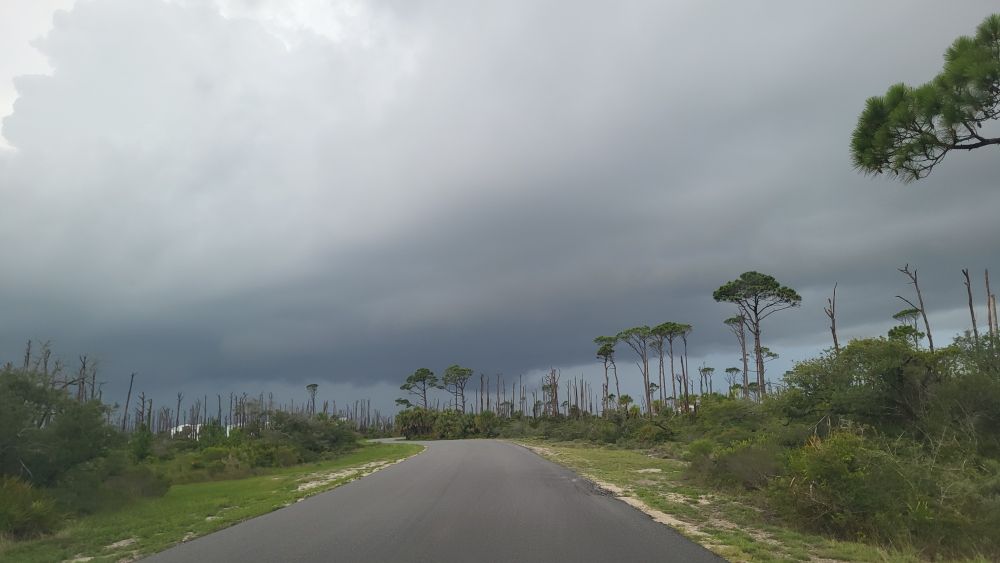 Overcast sky over the scattered pine trees and road leading into T.H. Stone memorial State Park. 