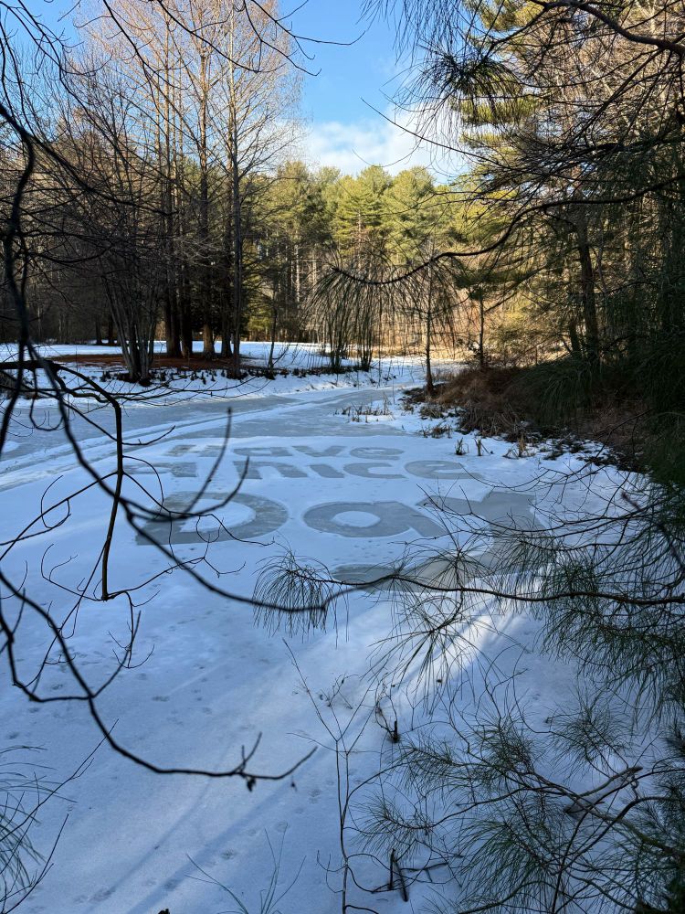 The words “have a nice day” are written in the snow atop an icy pond in the forest