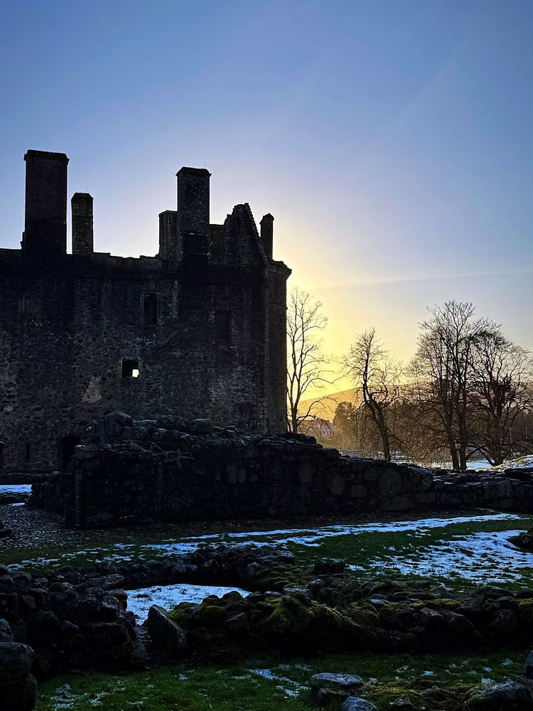 The sun sets in winter yellow behind the ruined walls of Huntly Castle in Aberdeenshire. The foreground is brushed with snow and the bare winter trees are silhouetted against the distant hills.
The castle cat died suddenly last week and I miss him. I feed the biscuits in my pocket to the crows and together we think about him. 