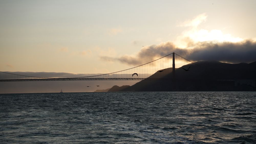 the sun is setting behind the golden gate bridge as birds fly towards it