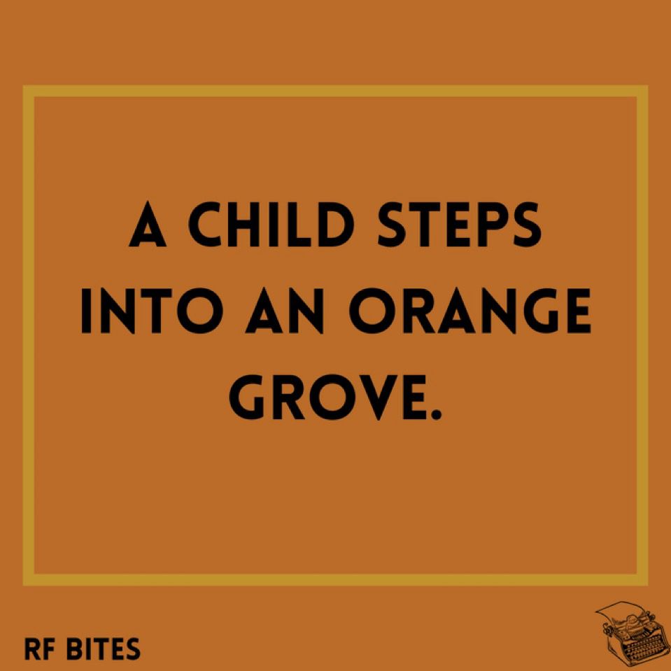 A child steps into an orange grove.